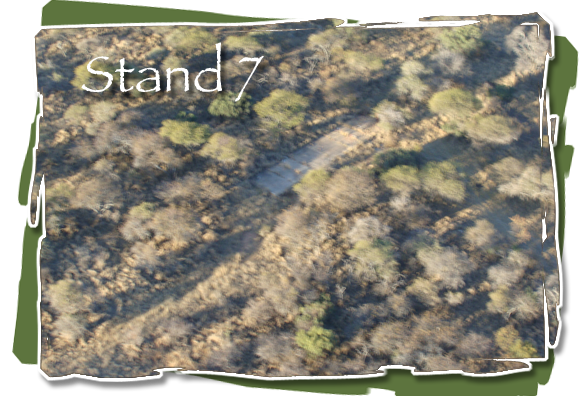 Stand 7